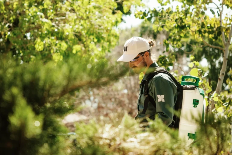 Mira Home Pest Control