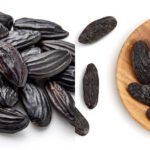 tonka-bean-1788519882148